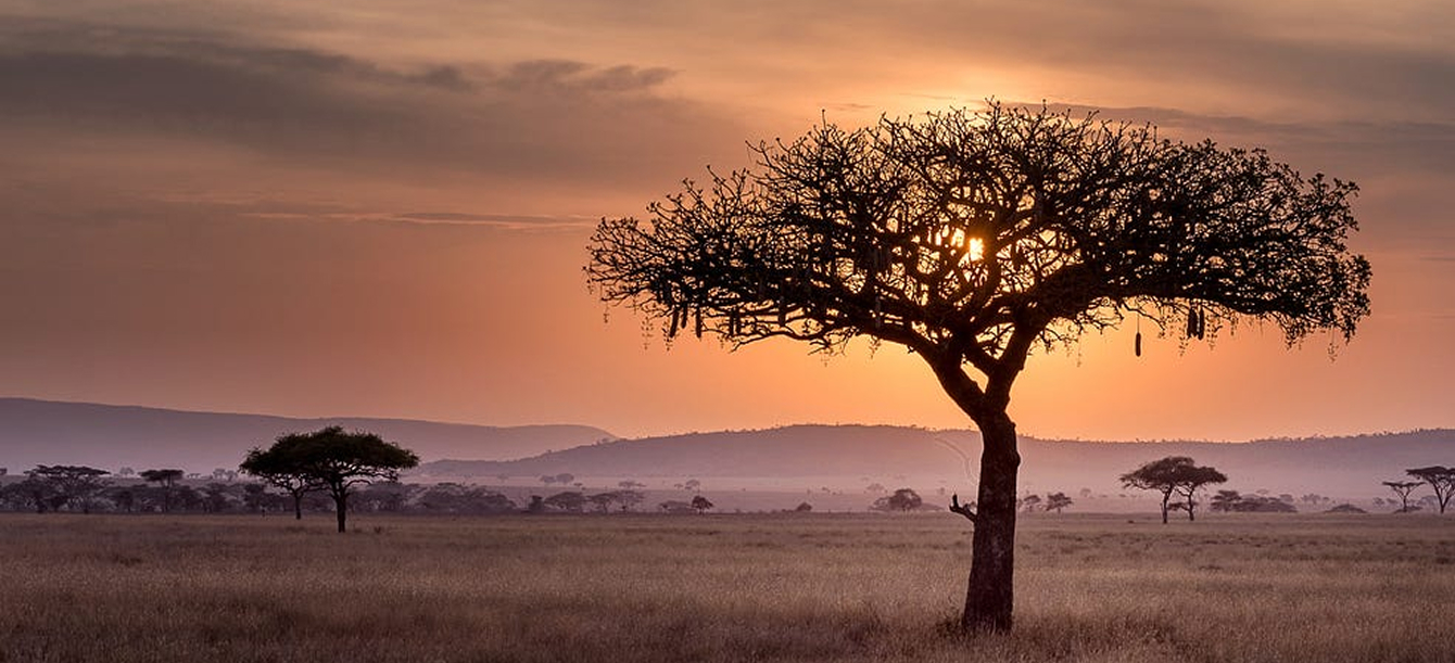 0_puzpbW9yuaDu8i1n-1-1